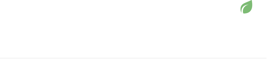 header_logo_franceschi_piscine_irrigazione_home_page